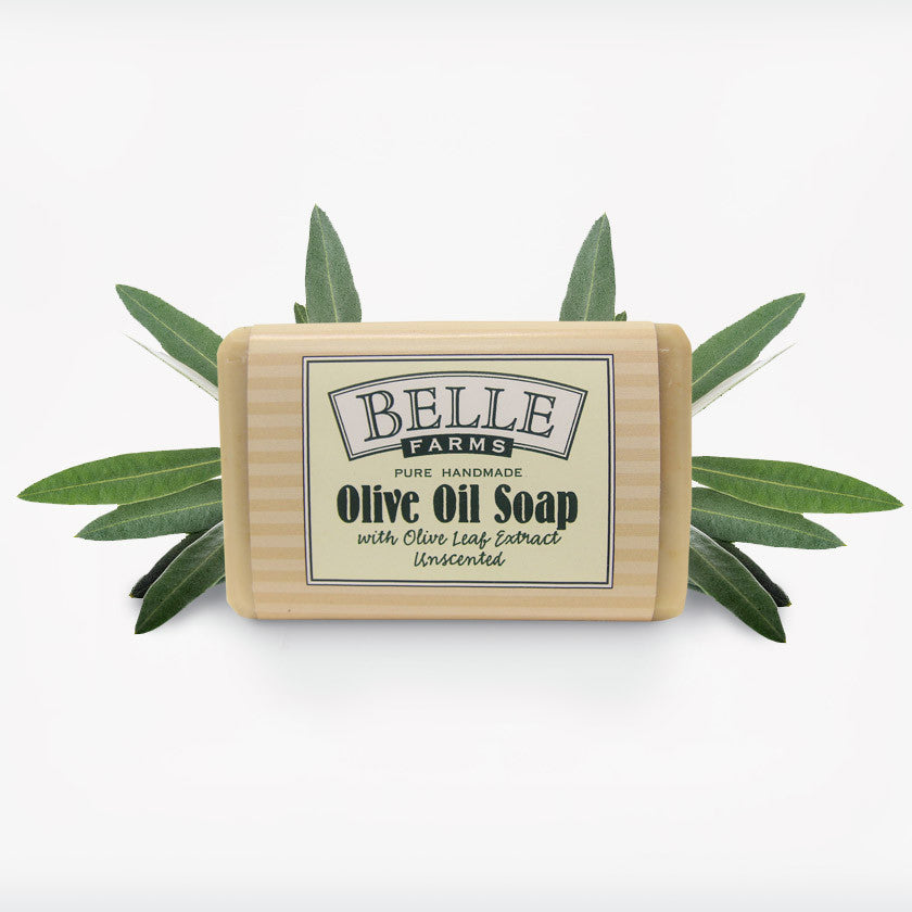 Olive Leaf Extract Olive Oil Soap, Unscented